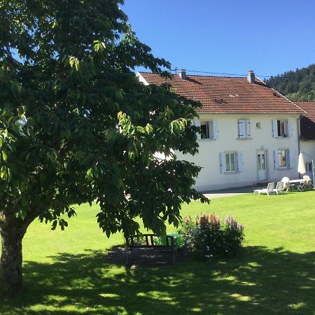 Gite Leonline Sur Les Hauteurs De Masevaux -Au Pied Des Vosges Zewnętrze zdjęcie