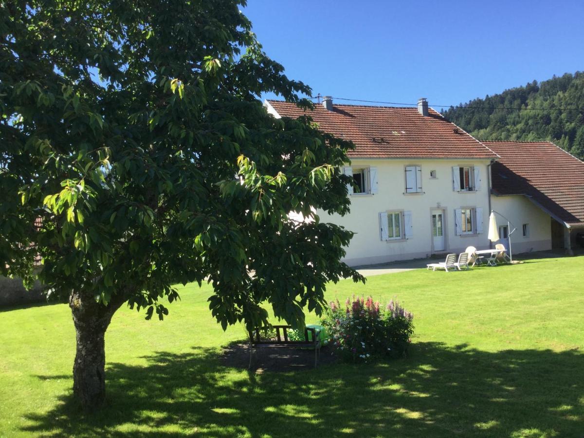 Gite Leonline Sur Les Hauteurs De Masevaux -Au Pied Des Vosges Zewnętrze zdjęcie