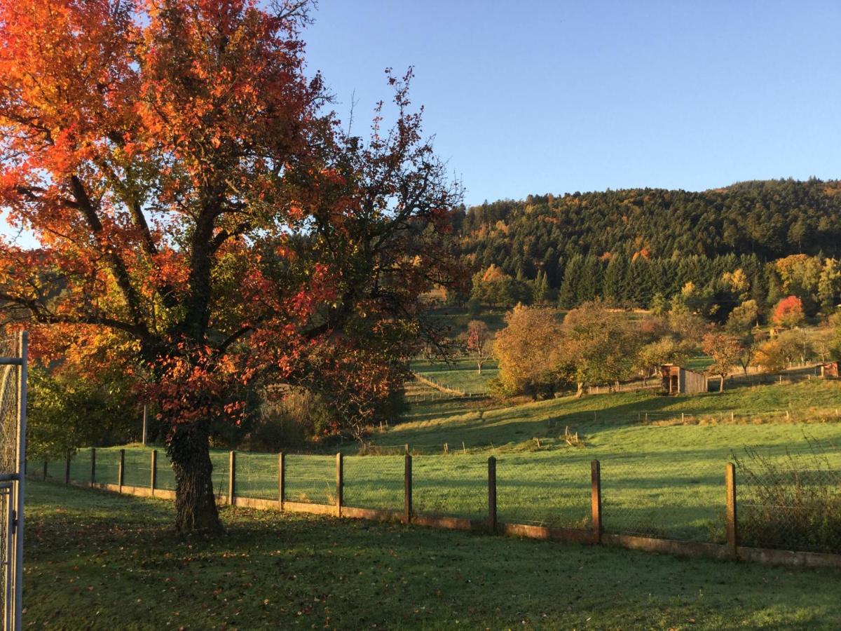Gite Leonline Sur Les Hauteurs De Masevaux -Au Pied Des Vosges Zewnętrze zdjęcie