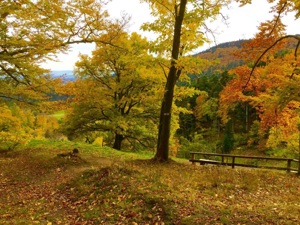 Gite Leonline Sur Les Hauteurs De Masevaux -Au Pied Des Vosges Zewnętrze zdjęcie