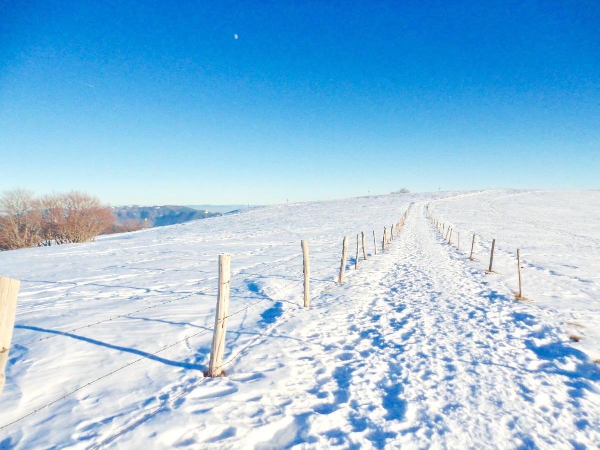 Gite Leonline Sur Les Hauteurs De Masevaux -Au Pied Des Vosges Zewnętrze zdjęcie