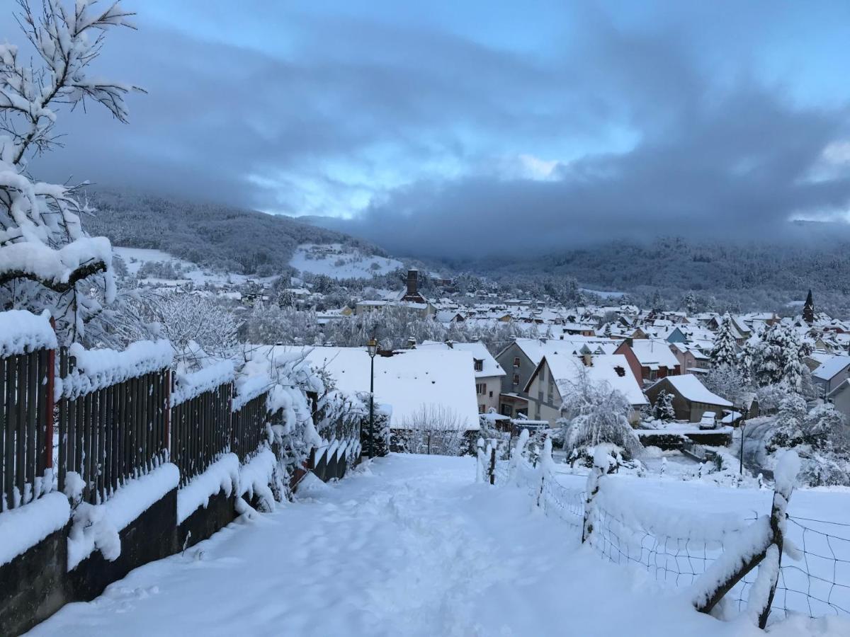 Gite Leonline Sur Les Hauteurs De Masevaux -Au Pied Des Vosges Zewnętrze zdjęcie