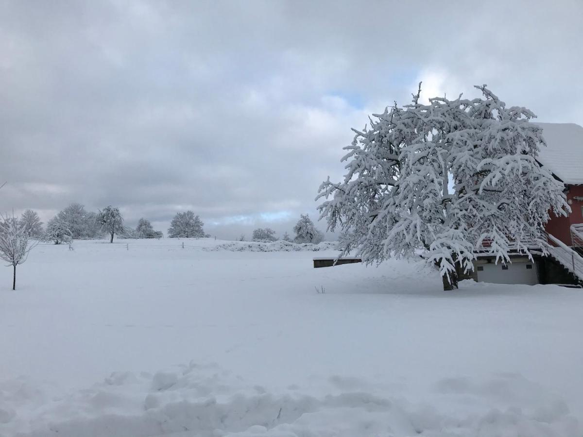 Gite Leonline Sur Les Hauteurs De Masevaux -Au Pied Des Vosges Zewnętrze zdjęcie